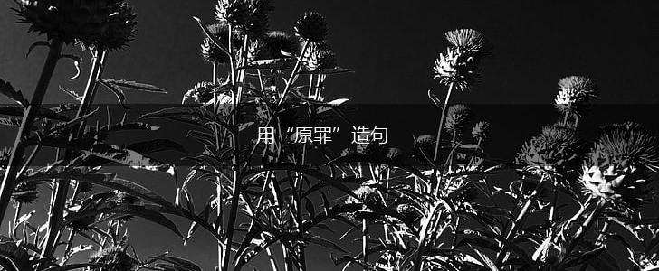 用“原罪”造句,第1张 用“原罪”造句,第1张
