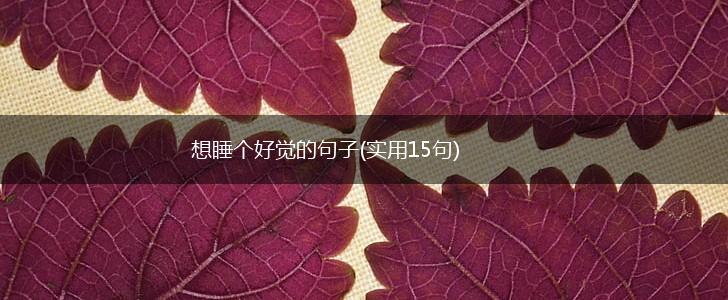 想睡个好觉的句子(实用15句),第1张