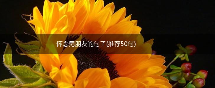 怀念男朋友的句子(推荐50句),第1张