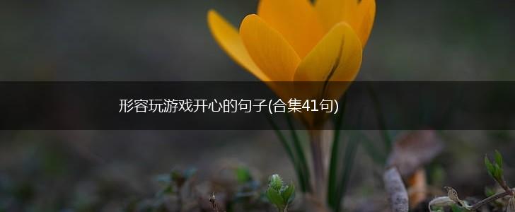形容玩游戏开心的句子(合集41句),第1张