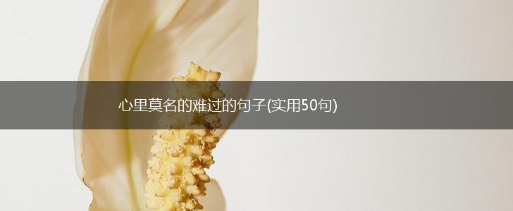 心里莫名的难过的句子(实用50句),第1张