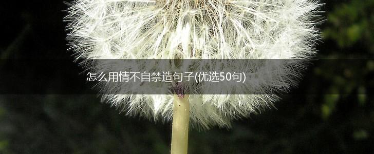 怎么用情不自禁造句子(优选50句),第1张