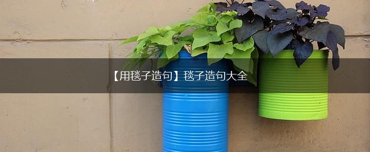 【用毯子造句】毯子造句大全,第1张 【用毯子造句】毯子造句大全,第1张