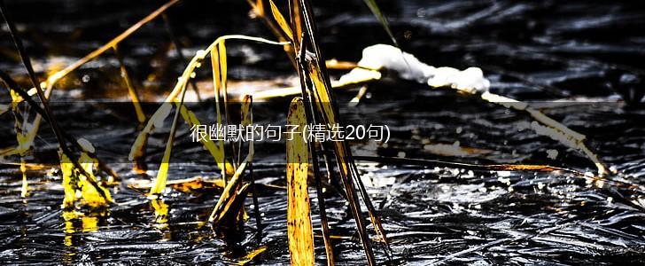 很幽默的句子(精选20句),第1张