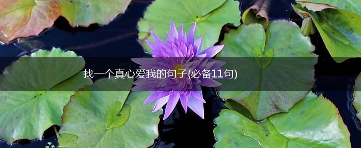 找一个真心爱我的句子(必备11句),第1张