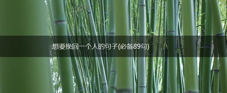 想要挽回一个人的句子(必备89句),第1张