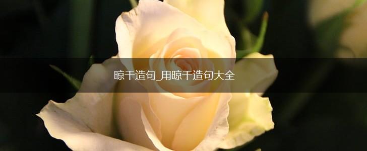 晾干造句_用晾干造句大全,第1张 晾干造句_用晾干造句大全,第1张