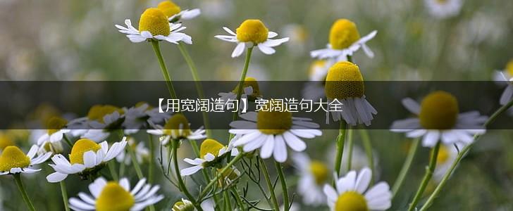 【用宽阔造句】宽阔造句大全,第1张 【用宽阔造句】宽阔造句大全,第1张