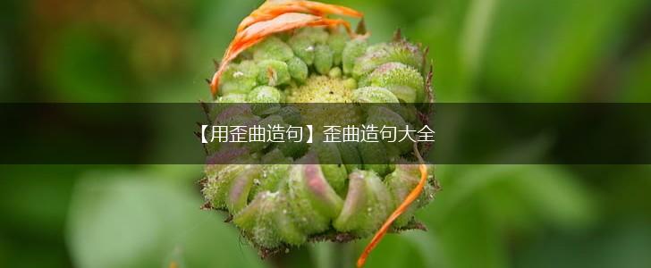 【用歪曲造句】歪曲造句大全,第1张 【用歪曲造句】歪曲造句大全,第1张