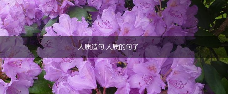 人质造句,人质的句子,第1张 人质造句,人质的句子,第1张