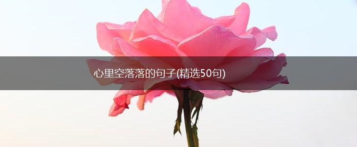 心里空落落的句子(精选50句),第1张