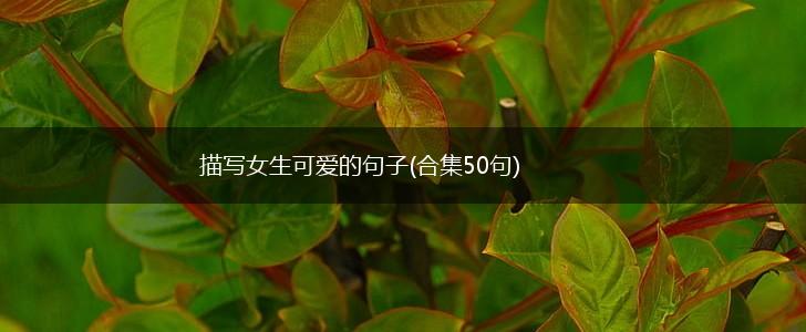 描写女生可爱的句子(合集50句),第1张