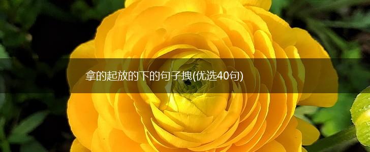 拿的起放的下的句子拽(优选40句),第1张