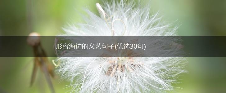 形容海边的文艺句子(优选30句),第1张