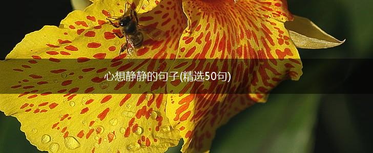 心想静静的句子(精选50句),第1张