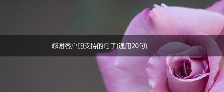 感谢客户的支持的句子(通用20句),第1张