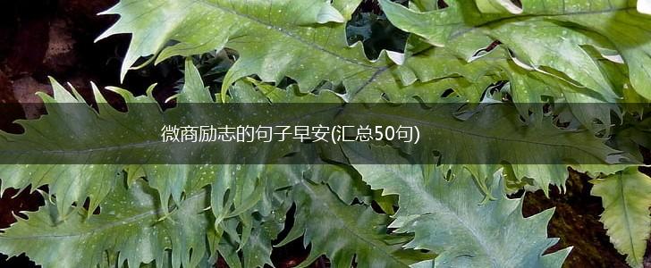 微商励志的句子早安(汇总50句),第1张
