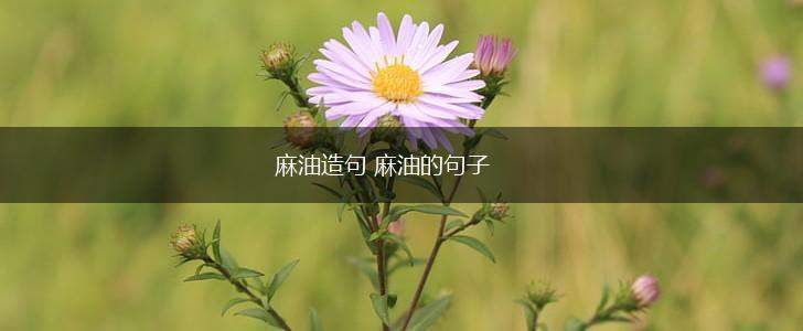 麻油造句 麻油的句子,第1张 麻油造句 麻油的句子,第1张