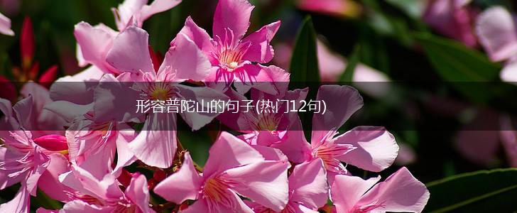形容普陀山的句子(热门12句),第1张