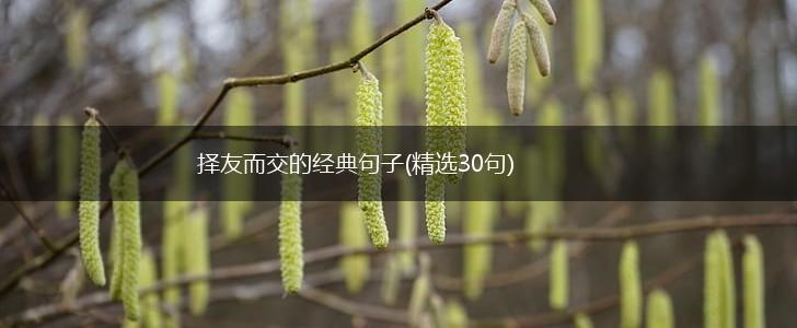 择友而交的经典句子(精选30句),第1张