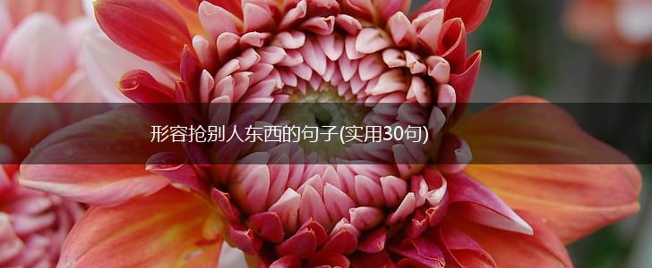形容抢别人东西的句子(实用30句),第1张