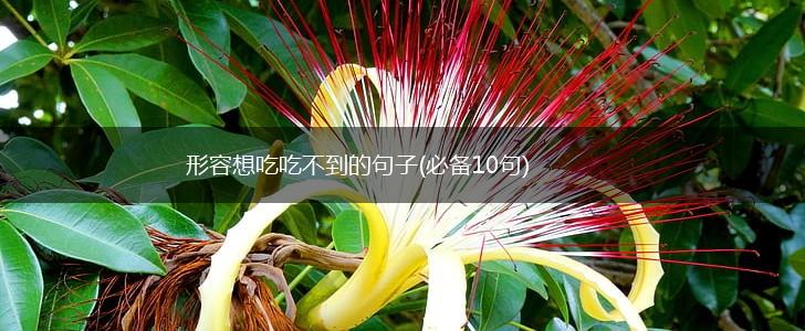 形容想吃吃不到的句子(必备10句),第1张