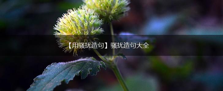 【用骚扰造句】骚扰造句大全,第1张