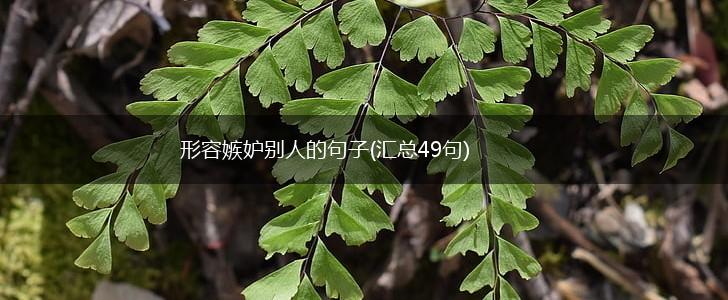 形容嫉妒别人的句子(汇总49句),第1张