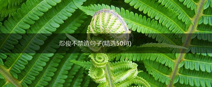 忍俊不禁造句子(精选50句),第1张