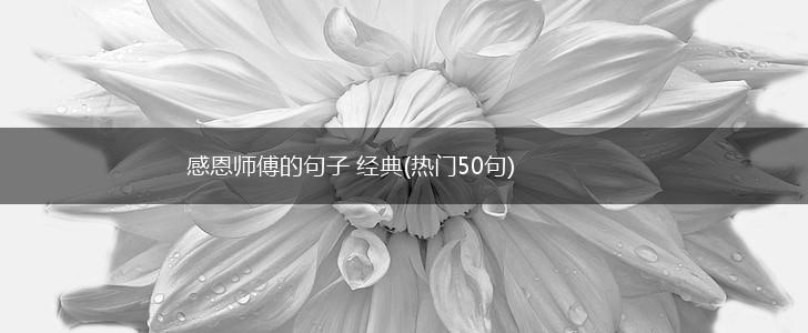 感恩师傅的句子 经典(热门50句),第1张