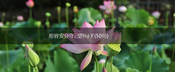 形容安分守己的句子(50句),第1张