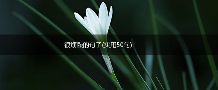 很烦躁的句子(实用50句),第1张