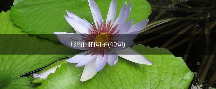 形容门的句子(40句),第1张