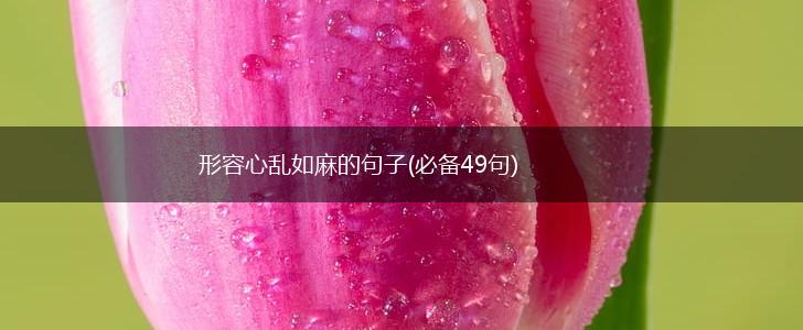 形容心乱如麻的句子(必备49句),第1张