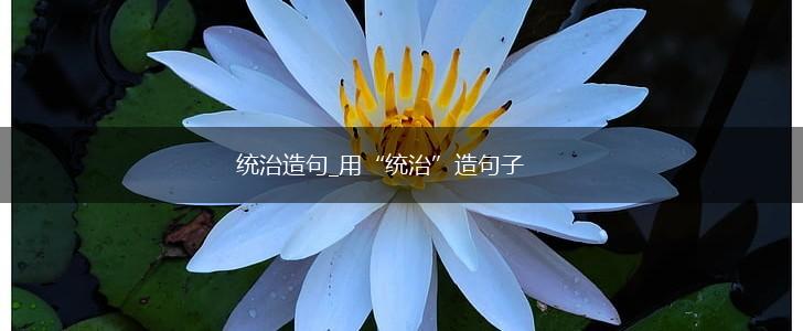 统治造句_用“统治”造句子,第1张 统治造句_用“统治”造句子,第1张