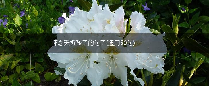 怀念夭折孩子的句子(通用50句),第1张