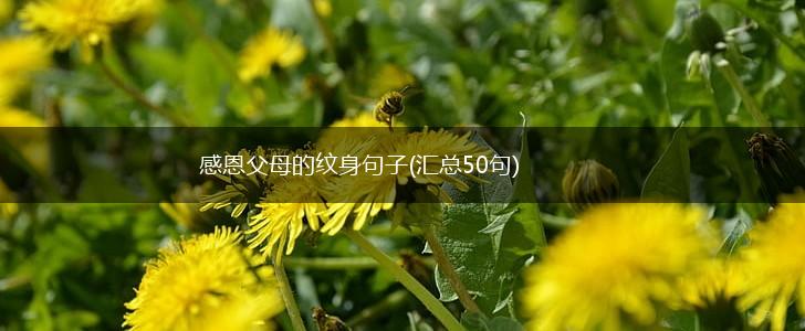 感恩父母的纹身句子(汇总50句),第1张