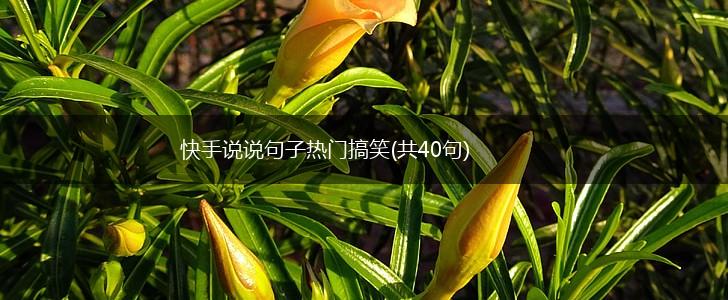快手说说句子热门搞笑(共40句),第1张