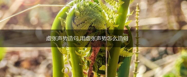 虚张声势造句,用虚张声势怎么造句,第1张 虚张声势造句,用虚张声势怎么造句,第1张