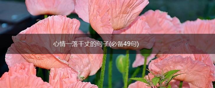 心情一落千丈的句子(必备49句),第1张