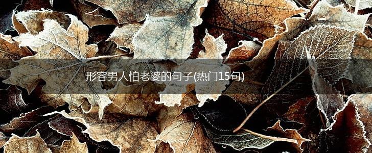 形容男人怕老婆的句子(热门15句),第1张