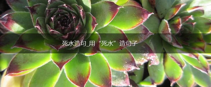 死水造句_用“死水”造句子,第1张 死水造句_用“死水”造句子,第1张