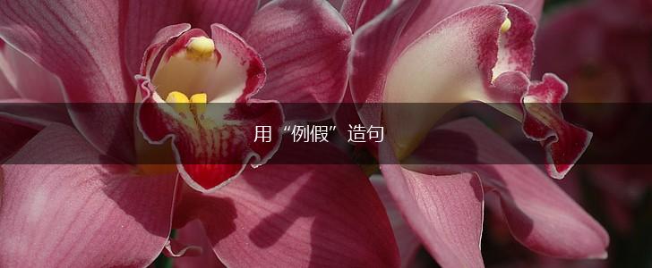 用“例假”造句,第1张 用“例假”造句,第1张