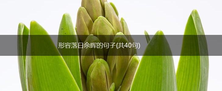形容落日余晖的句子(共40句),第1张