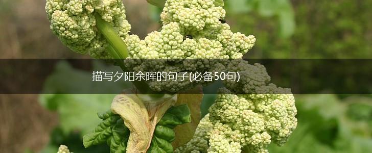 描写夕阳余晖的句子(必备50句),第1张