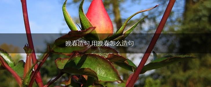 晚春造句,用晚春怎么造句,第1张 晚春造句,用晚春怎么造句,第1张