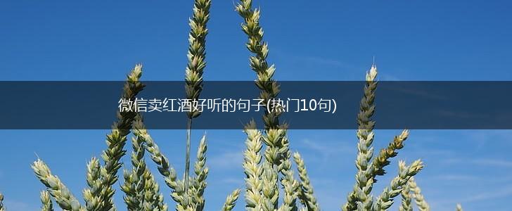 微信卖红酒好听的句子(热门10句),第1张