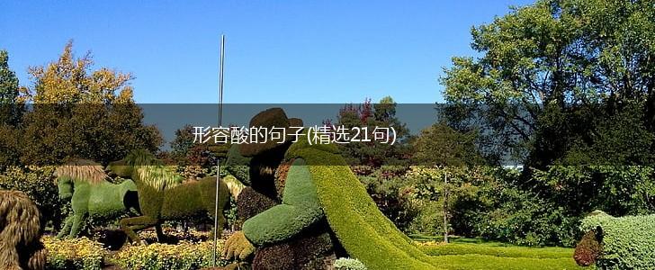 形容酸的句子(精选21句),第1张