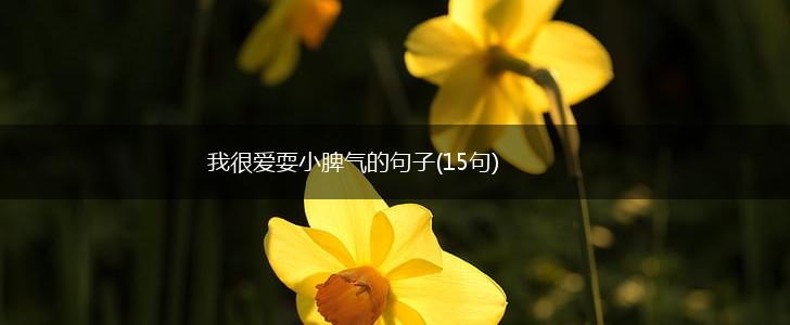 我很爱耍小脾气的句子(15句),第1张