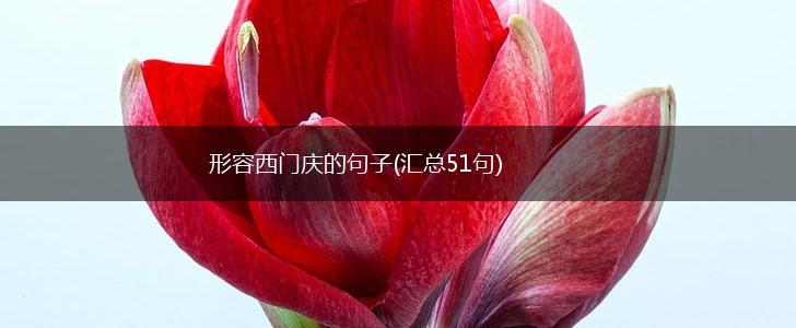 形容西门庆的句子(汇总51句),第1张
